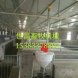 養(yǎng)豬設(shè)備廠供應(yīng)自動(dòng)下料桶 生產(chǎn)廠家、價(jià)格解析與羊場應(yīng)用前景